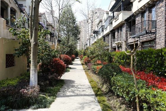 同润蓝美俊庭第34张图