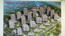 津南新城开发商营业执照相册