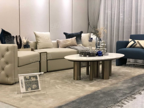 新城中梁长风雅著第5张图