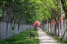 南园开发商营业执照相册