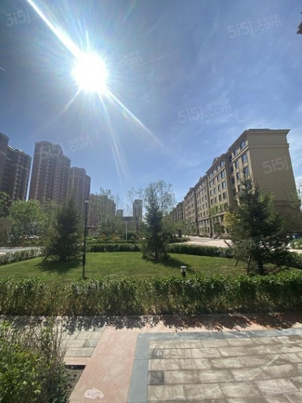 大唐印象实景图