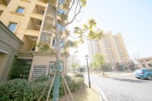 水榭兰亭沙盘图相册