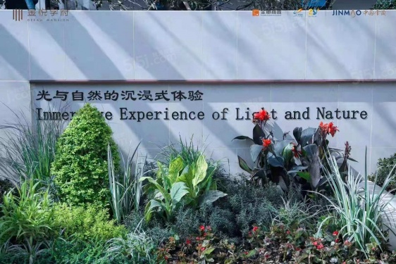 金悦学府第12张图