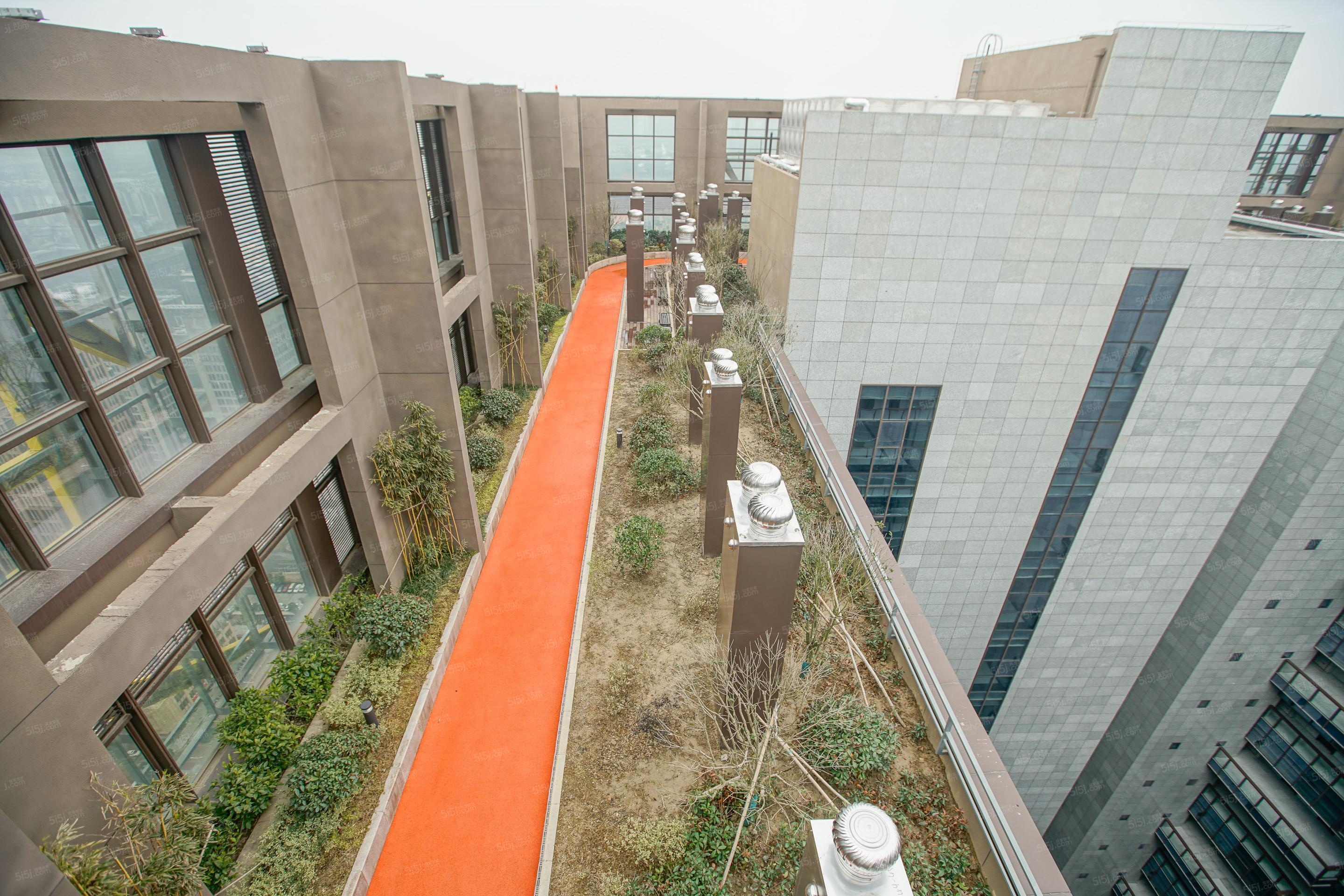 越洋国际实景图