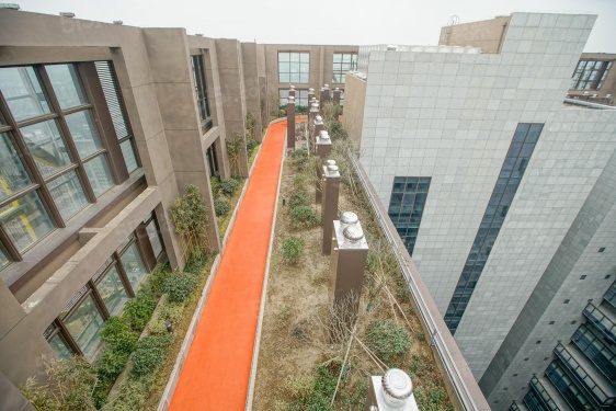 越洋国际第47张图