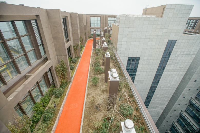 越洋国际实景图