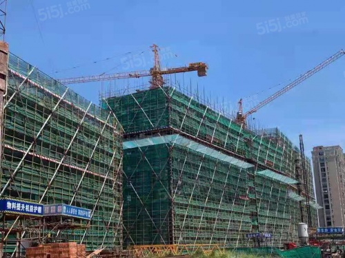 金悦学府第19张图