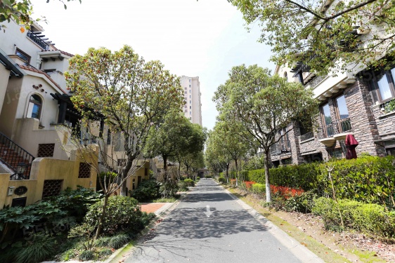 同润蓝美俊庭第32张图