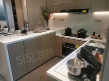 路劲象屿岛上的院子沙盘图相册