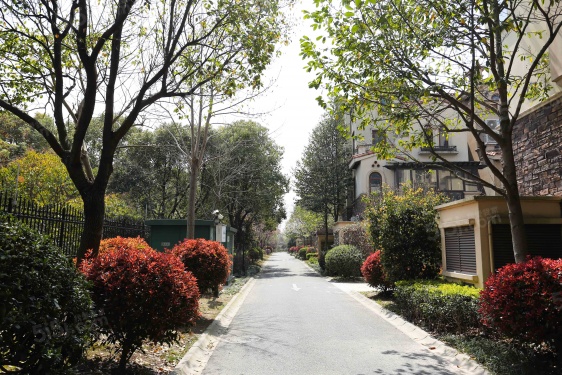 同润蓝美俊庭第35张图