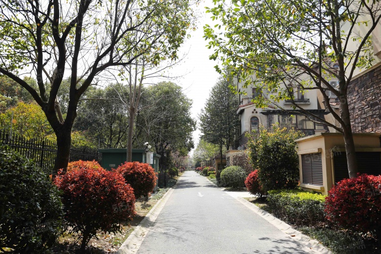 同润蓝美俊庭实景图