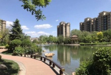 鲲栖府开发商营业执照相册