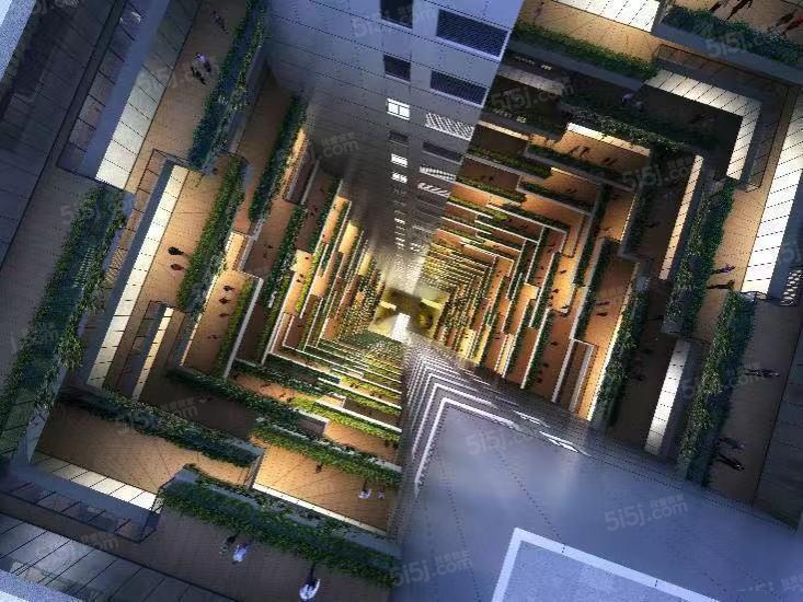 越洋国际效果图