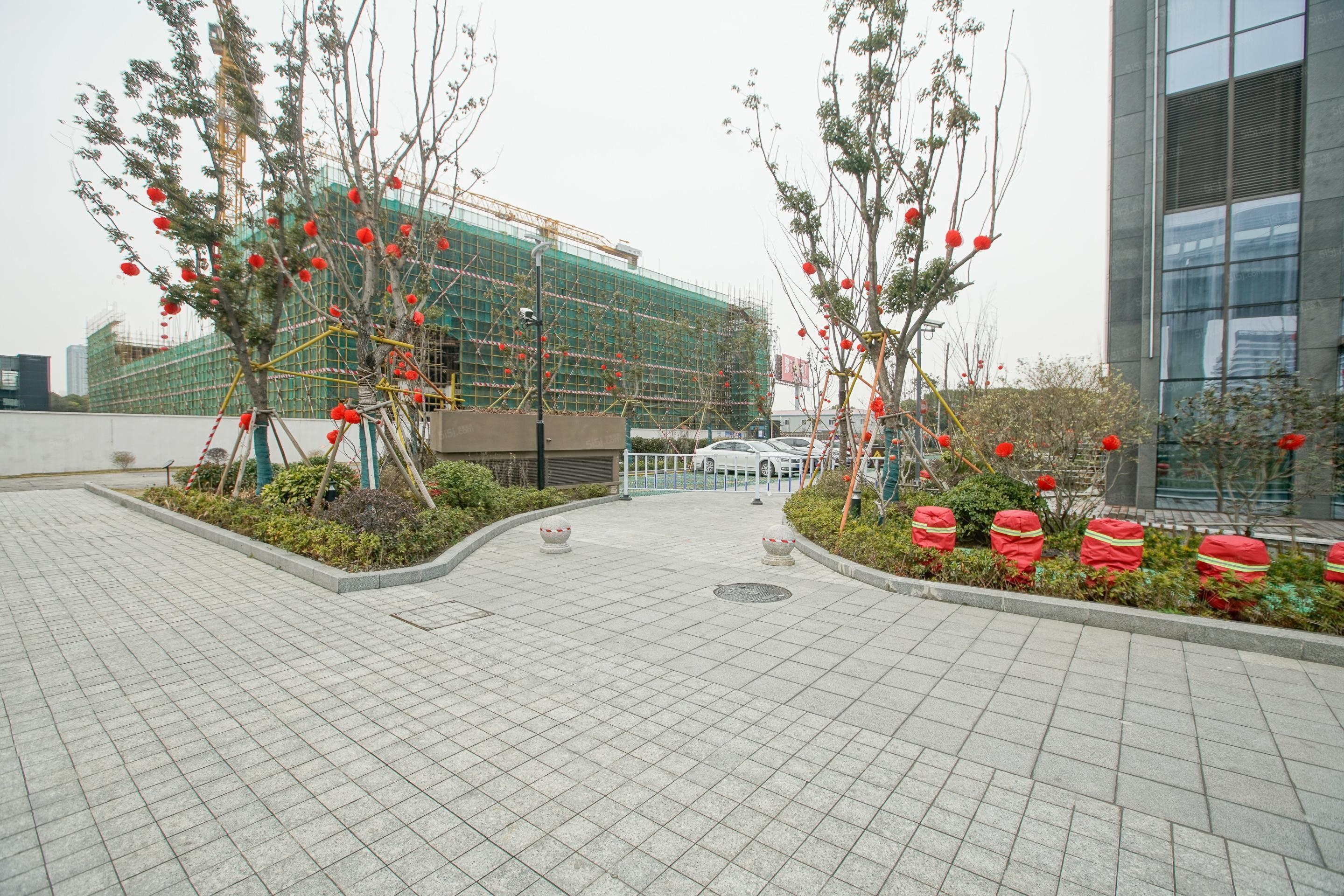 越洋国际实景图