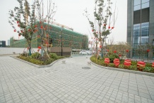 越洋国际沙盘图相册