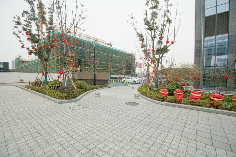 越洋国际实景图