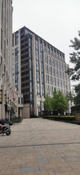 绿地公园广场实景图