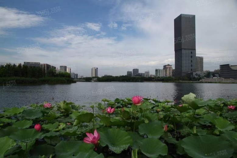 晶鼎大厦配套图