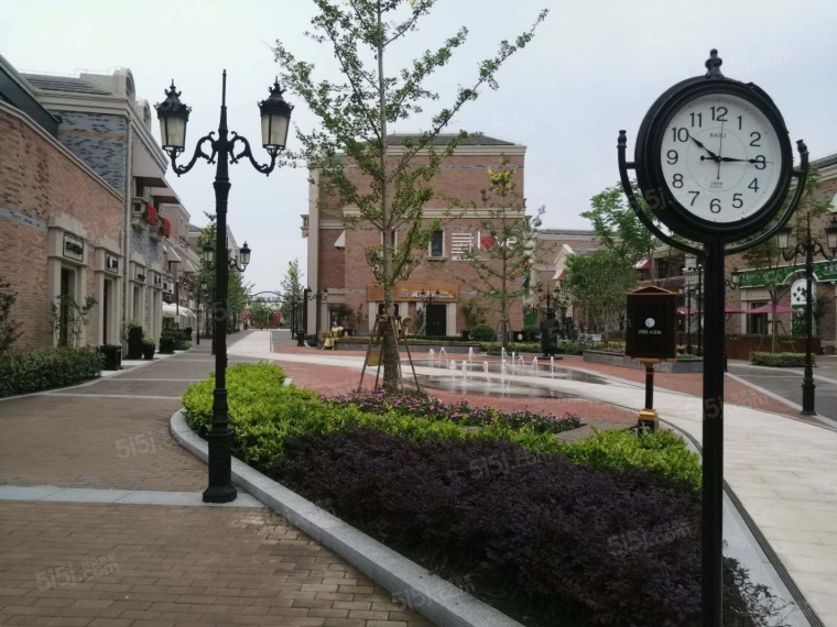 崇明岛大爱城实景图