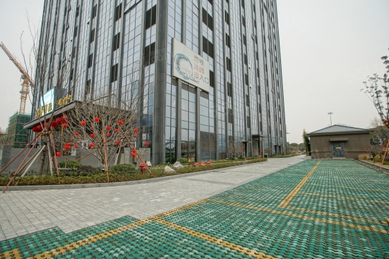 越洋国际第56张图