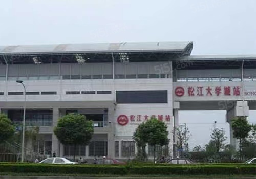 御上海青橙配套图