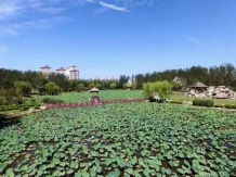 南园开发商营业执照相册