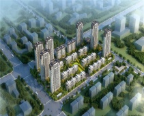 天保天成华境开发商营业执照相册