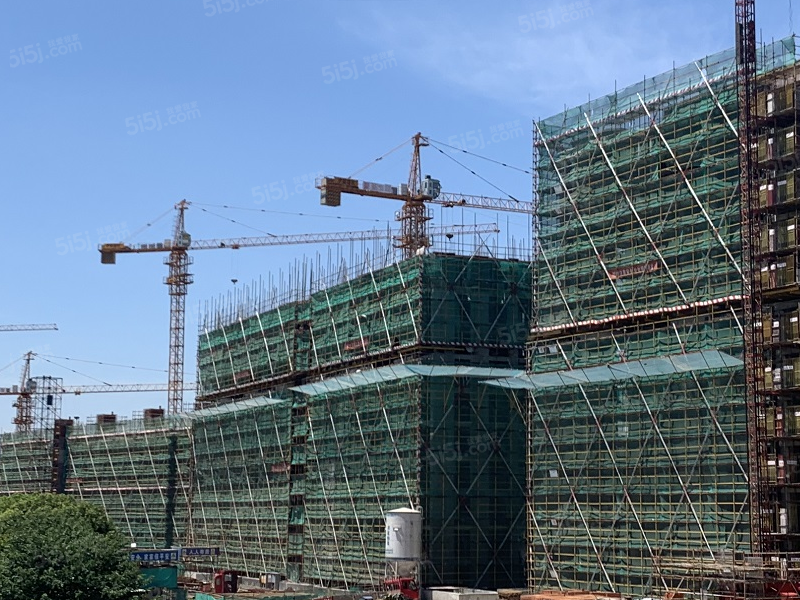 东鼎名人府邸实景图