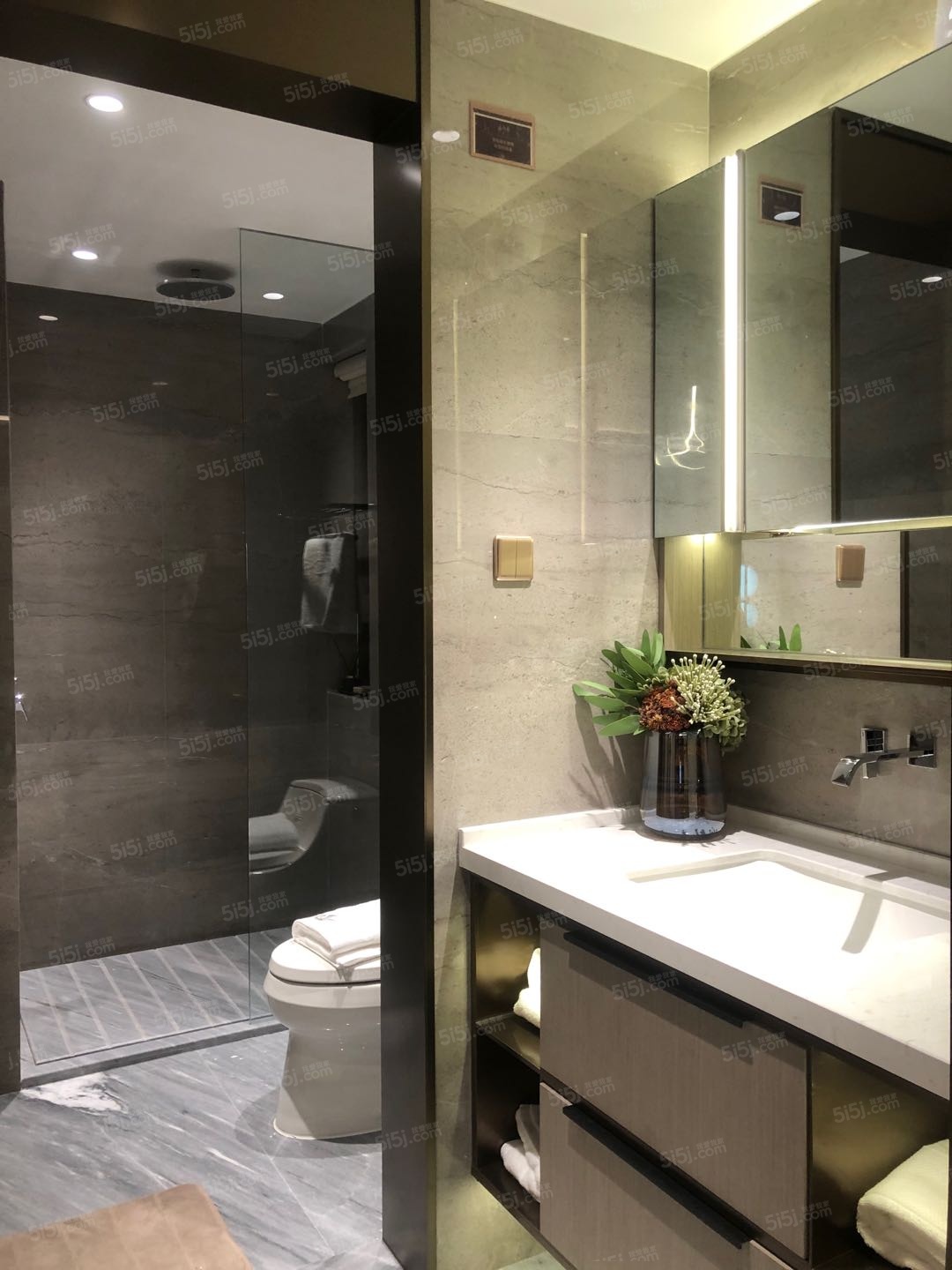 蓝光雍锦府样板间