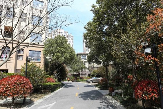 同润蓝美俊庭第27张图