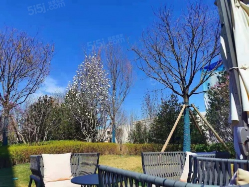 金海云城第31张图