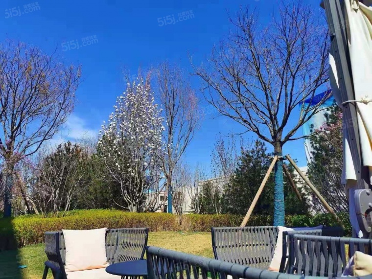 金海云城实景图