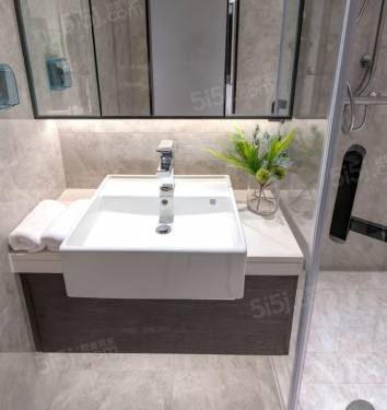 天保天成华境第3张图