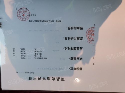 崇明岛大爱城第46张图