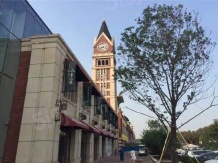 金地悦城大境开发商营业执照相册