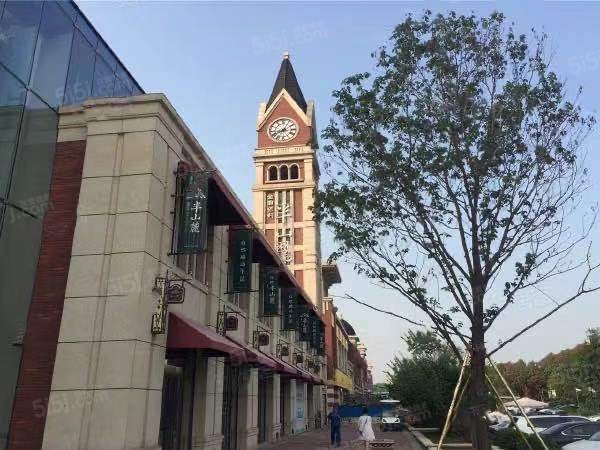 金地悦城大境实景图