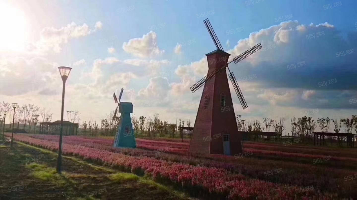 崇明岛大爱城配套图