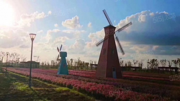 崇明岛大爱城第32张图