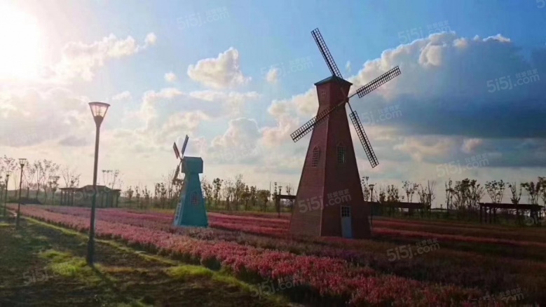 崇明岛大爱城配套图