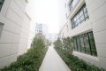 佩玛山丘实景图相册大图