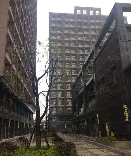 钰丰繁锦里实景图