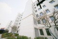 佩玛山丘实景图相册大图