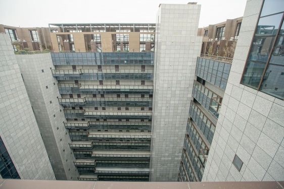 越洋国际第52张图