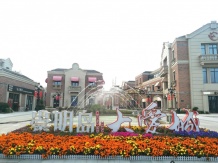 崇明岛大爱城沙盘图相册