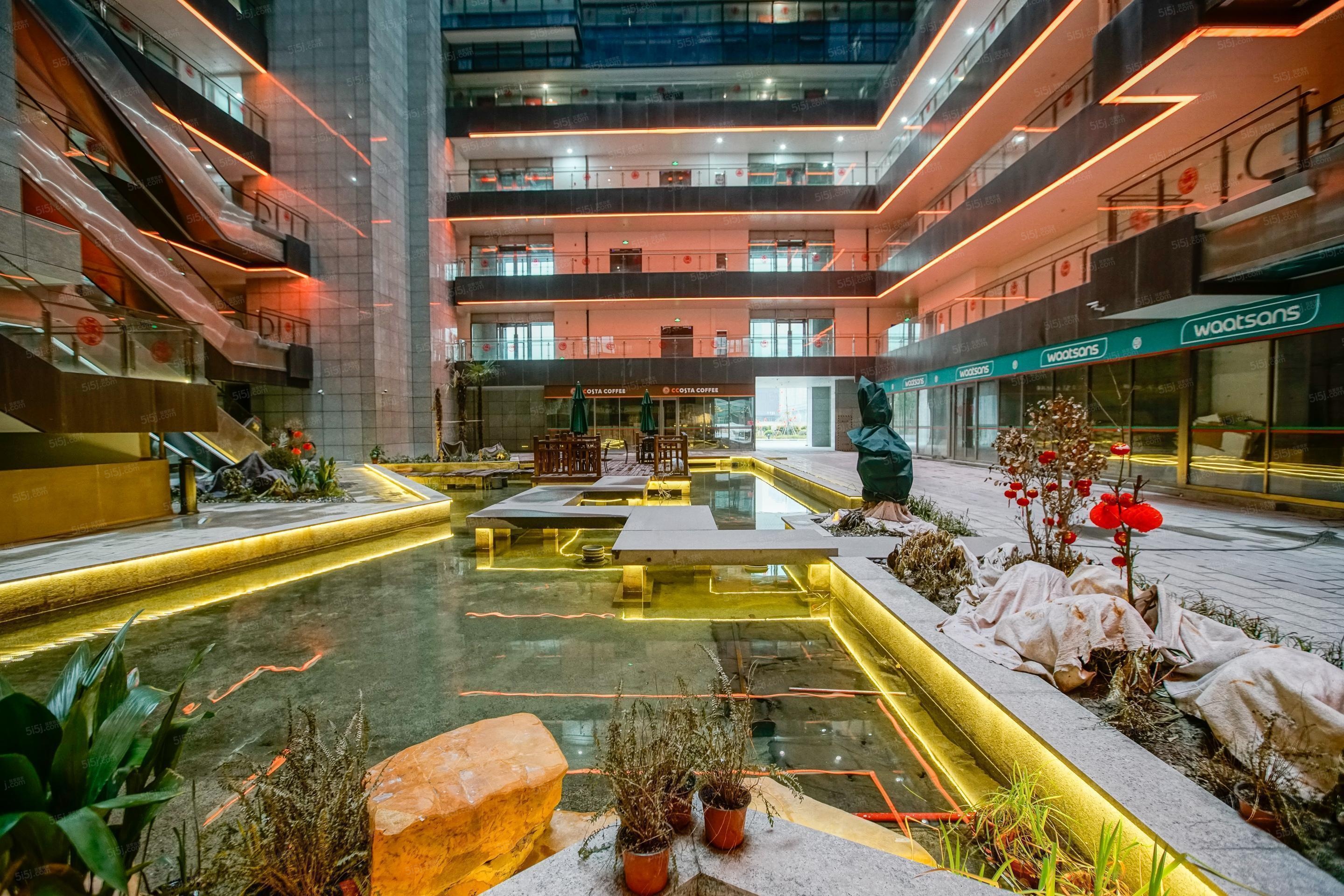 越洋国际实景图