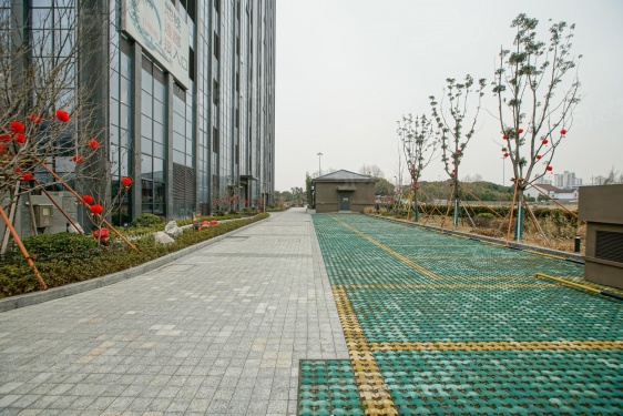 越洋国际第63张图