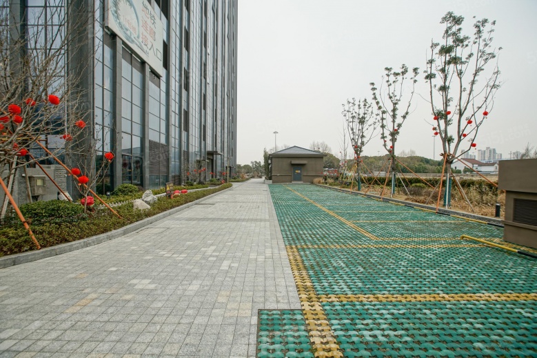 越洋国际实景图