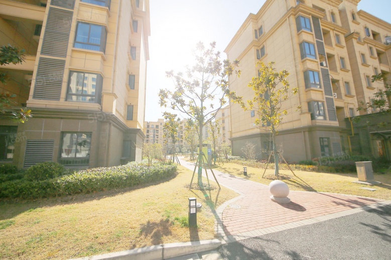 水榭兰亭实景图