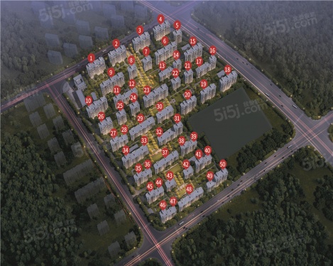 新城中梁长风雅著第3张图