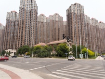 津南新城开发商营业执照相册